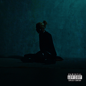 鲁鲁网视频在线
