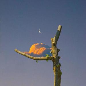 鲁鲁网视频在线
