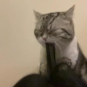 鲁鲁网视频在线
